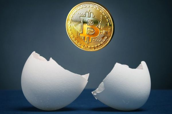 11th Anniversary of Bitcoin Genesis