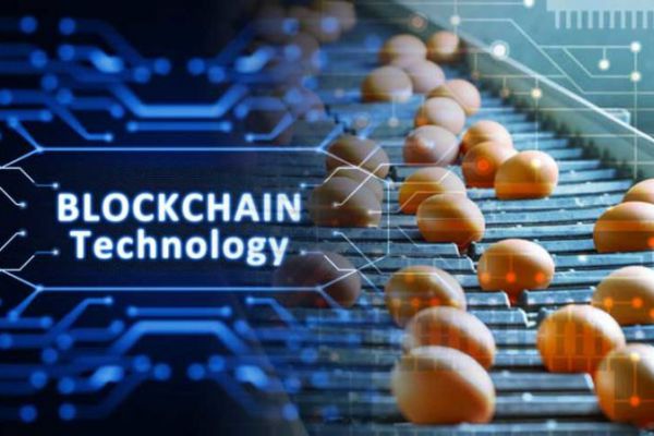 Blockchain will help save $ 31 billion in the food market
